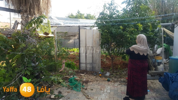 jarrafat hadm sa77a (21).JPG